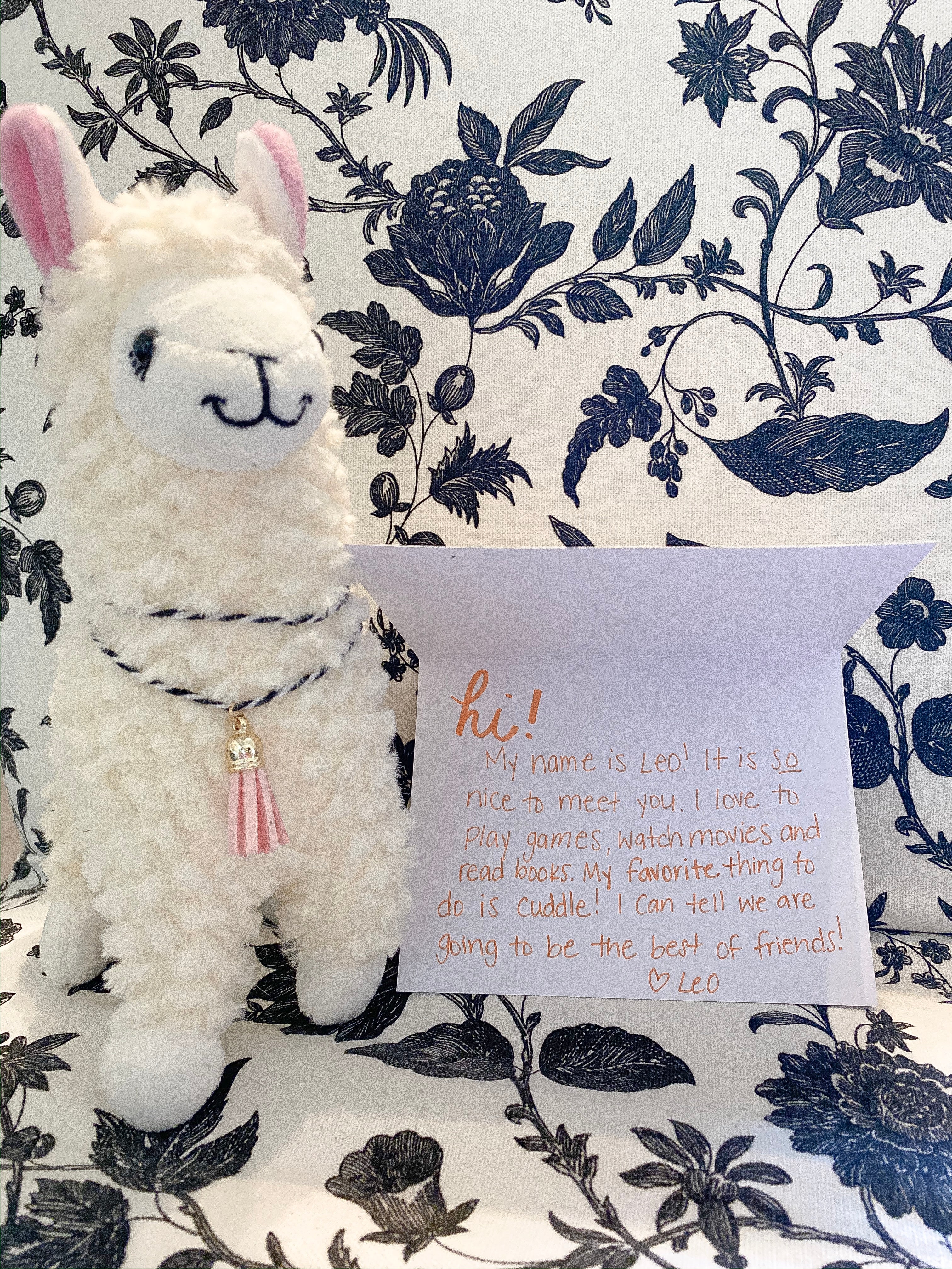 An example of a note that you could send to a llama lover!